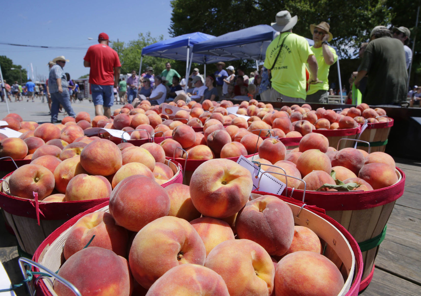 Festivals: Porter Peach Festival